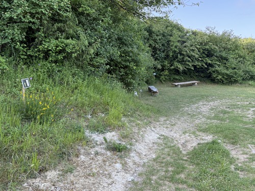 Nous sommes maintenant sur le Sentier Botanique. Il y a plusieurs bancs sur le circuit. Le nombre de plantes répertoriées (et plantées pour la plupart) est impressionnant.&nbsp;
