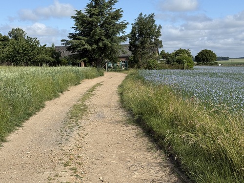 Au hameau de Cerisey, nous allons tourner à droite devant cette maison, sur un chemin bordé de champs de lin.