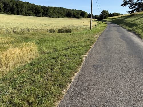 Nous suivons la petite route qui relie la Neuville au Plessis-Hébert, et la quittons ici à gauche pour entrer dans le Bois du Moulin.