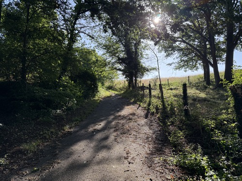 Nous arrivons sur le plateau par le chemin qui relie la rue Sainte Baudèle à la Côte Moulinière.