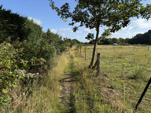Nous continuons sur le GR2 en passant près du bois de la Sahatte qui abritait un majestueux château du XIXe, refuge d'enfants pendant la WW2, abîmé par les combats d'août 44, puis pillé jusqu'aux fondations.