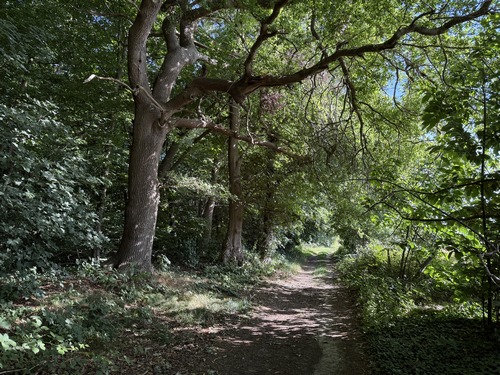 Nous contournons le bois Saillot, toujours sur le même chemin, pour continuer vers le nord.