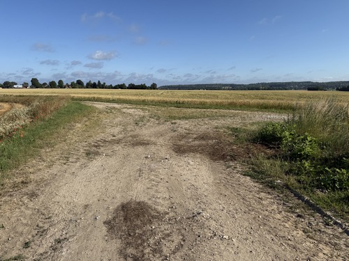 Quand le chemin arrive en butée après l'antenne téléphonique, nous tournons à droite.