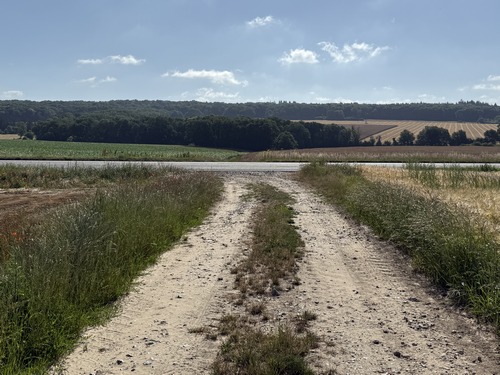 Nous descendons dans le val des Authieux (ancien méandre de la Seine) et allons traverser la très fréquentée D6015 pour continuer en face.
