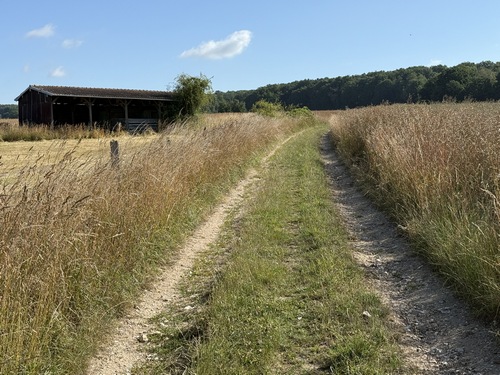 Nous montons vers les bois qui entourent Ymare et allons tourner à droite en lisière du bois que l'on voit en face.