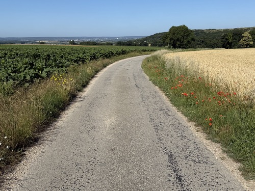 La C34 est une petite route tranquille qui traverse le bois de Rouville puis descend vers Igoville. Elle se fait pardonner son goudron en offrant une vue dégagée sur la vallée de la Seine. Le GR2 rejoint la C34 dès la sortie du bois.