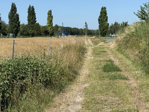 Arrivée au Parc des Saules.