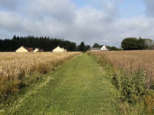 Après l'ancienne ferme, la petite route devient un chemin qui rejoint ce lotissement sur la Côte de la Justice.