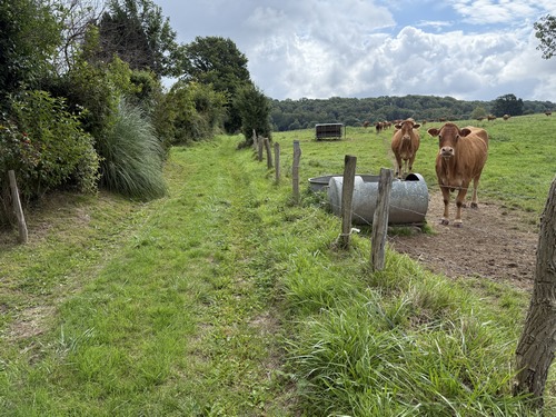 Sur le plateau, nous suivons la petite route du Cotentin qui se prolonge par l'un des nombreux et charmants chemins de ce circuit.