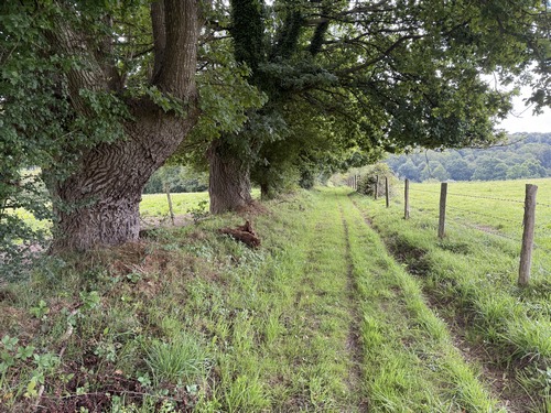 Le chemin descend vers la vallée de la Vilaine, puis remontera vers le hameau du Selier.