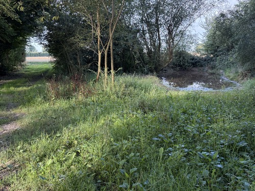 L'Intercom de Bernay a lancé un programme de restauration de 29 mares communales. Ici, c'est la mare de la Quaize.