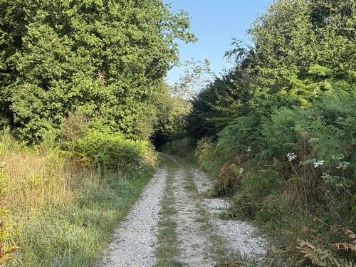 Nous sortons du village par la rue du Cordier et rejoignons la voie forestière des Plantations qui longe la lisière.