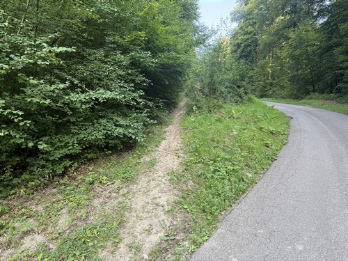 En fond de vallon, nous traversons cette petite route pour suivre ce sentier qui n'est rien de moins que la prolongation de la célèbre voie forestière des Limousins.