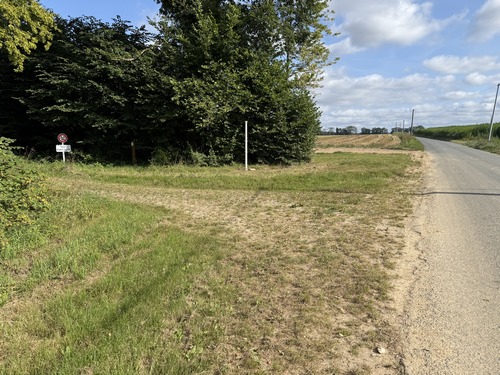 Nous prolongeons le plaisir en continuant un peu sur la D98 le long de la ferme du Châtelet, et tournons ici à gauche sur la voie forestière Cotta.