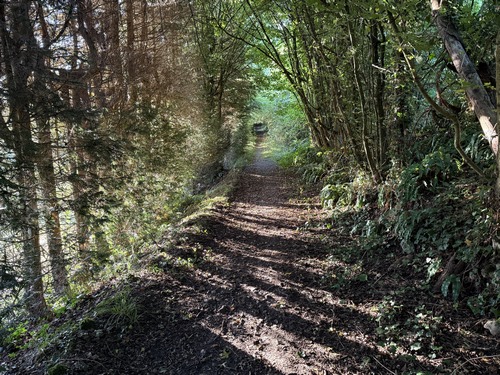 Nous montons la route de Cavicourt sur quelques mètres avant de trouver notre premier chemin. Il est bien représentatif des nombreux chemins de circuit : large, bien entretenu, avançant dans un couloir de verdure.