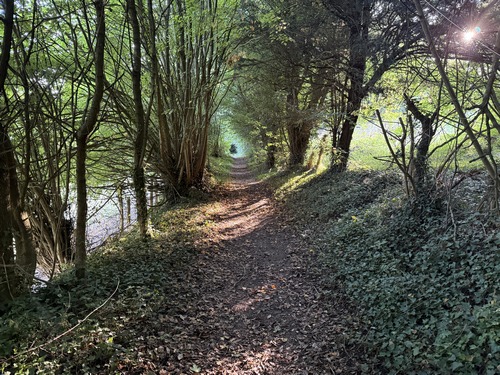 Nous redescendons dans la vallée. Ces chemins !