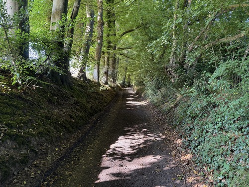 Chemin des Bosseberts