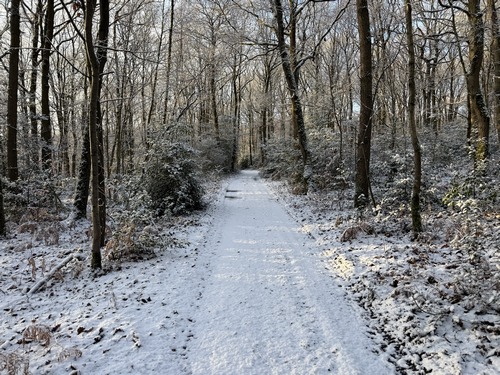 L'itinéraire suit un chemin qui monte dans le bois de la Mouquillonne, agréable en toute saison, mais rendu magnifique par la neige.