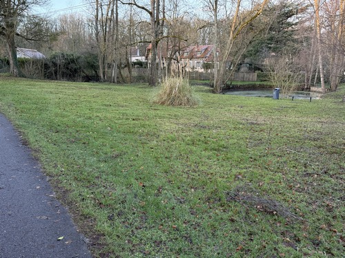 Bosc est un charmant hameau au milieu du bois de la Grande Plesse. Nous allons tourner à droite après la place des Trois Mares pour suivre le chemin de la Chapelle.