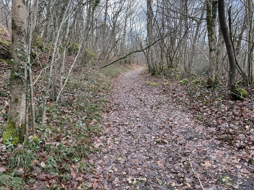 Montée dans le bois de Carcouet vers Verdun.