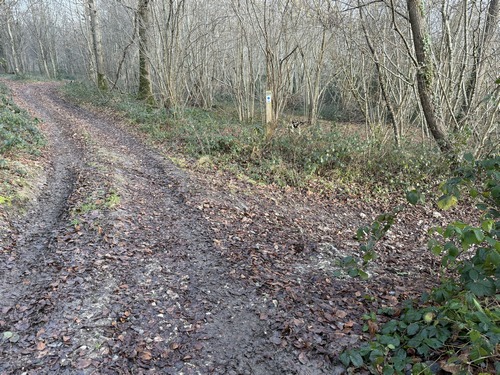 Le balisage bleu de l'itinéraire officiel nous indique la descente vers la vallée. Ce circuit ne fait que 4 km, nous continuons donc tout droit vers La Hallotière.