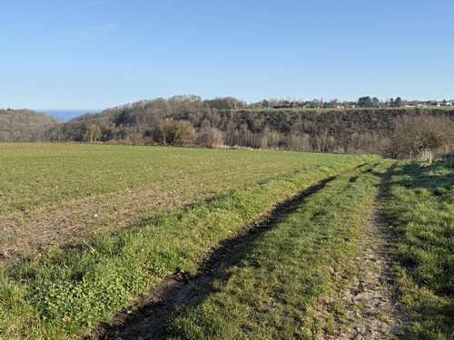 Entre Ecretteville et Saint-Pierre, nous traversons à nouveau une valleuse. Comme souvent sur cette côte, le circuit joue les montagnes russes.