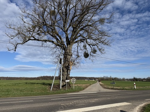 Traversée de la route d'Aumale pour rejoindre Beaufresne. Le calvaire du carrefour semble à l'abandon et penche dangereusement. C'est un calvaire en métal du XIXe (voir album de la rando), c'est triste de voir un tel élément du patrimoine dans cet état.