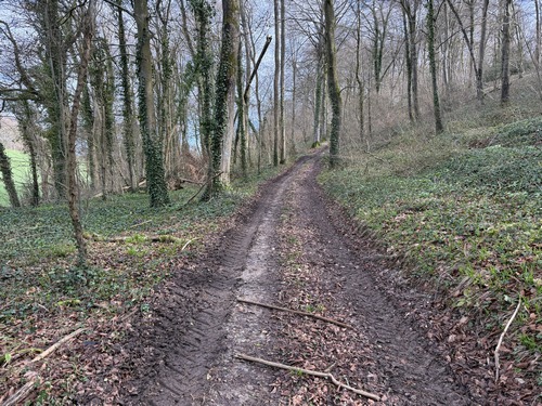 Bois d'Haudricourt-au-Bois.
