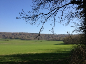 Vue de la randonnée Entre Eaulne et Béthune. au départ de Fréauville, 76