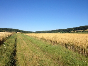 Vue de la randonnée Hardi, mais très agréable. au départ de Pierrecourt, 76