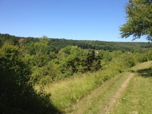Vue de la randonnée En Forêt Indivise d'Eu. au départ de Incheville, 76