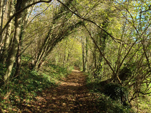 Vue de la randonnée Traces d'histoire. au départ de Caumont, 27