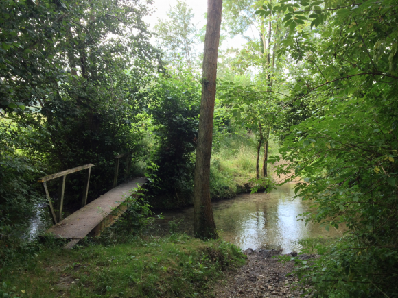 Vue de la randonnée Sons des tropiques. au départ de Hermival-les-Vaux, 14