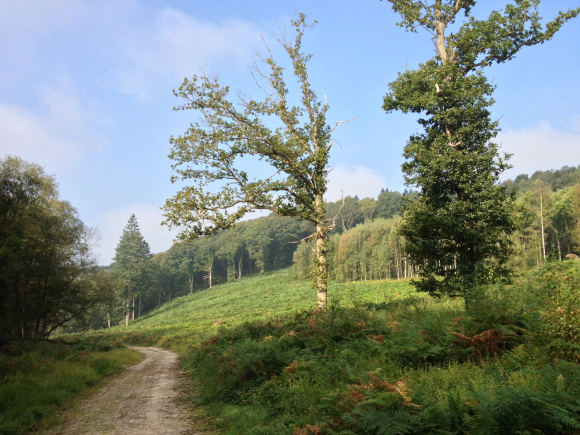 Vue de la randonnée Entre Etretat et Goderville. au départ de Cuverville, 76