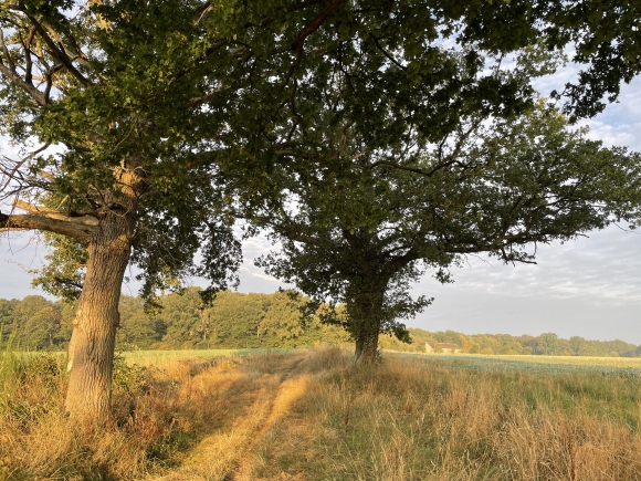 Vue de la randonnée Coteaux de l'Eure au départ de Champenard, 27