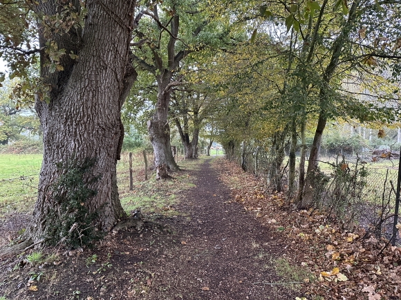Vue de la randonnée Circuit de la Chapelle Saint-Marc au départ de Beaumontel, 27