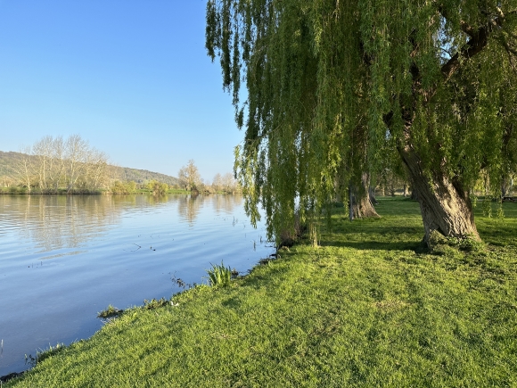 Vue de la randonnée Bord de Seine et forêt de Vernon au départ de Pressagny-l'Orgueilleux, 27
