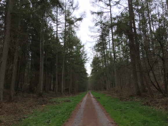 Vue de la randonnée Pays de Bray. au départ de Bézancourt, 76