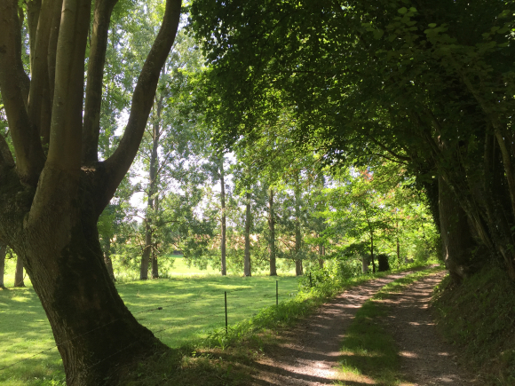 Vue de la randonnée Les berges et coteaux de la Calonne. au départ de Asnières, 27