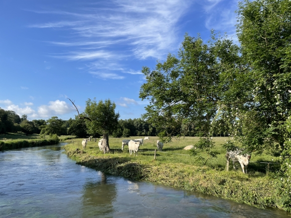 Vue de la randonnée Les 2 rives de la Saâne au départ de Avremesnil, 76