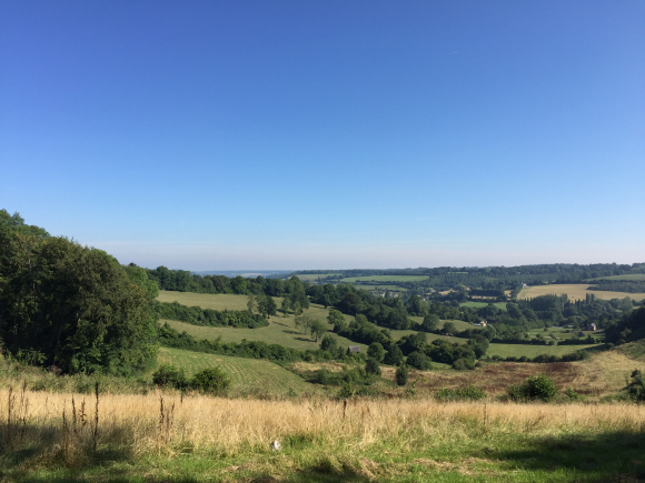 Vue de la randonnée Vallons et collines au départ de Mardilly, 61