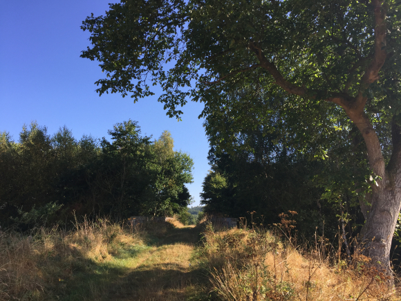 Vue de la randonnée Vallons du Roumois au départ de Bosc-Renoult-en-Roumois, 27
