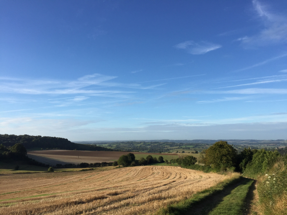 Vue de la randonnée plaines vallonnées du Pays-de-Bray au départ de Graval, 76
