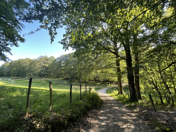 Vue de la randonnée Bois St-Michel, Voie Verte et voie romaine à l'ouest d'Evreux au départ de Evreux ouest, 27