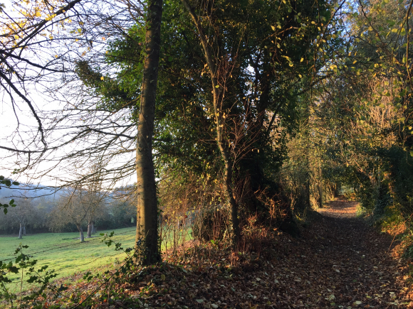 Vue de la randonnée Morelle et Orange au départ de Ablon, 14