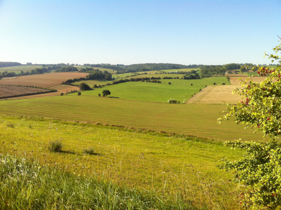 Vue de la randonnée Panoramas du Pays de Bray au départ de St-Vaast-d'Equiqueville, 76