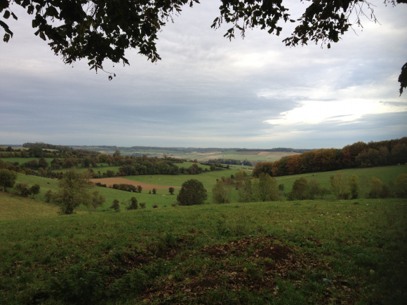 Vue de la randonnée Vallée et colline de l'Eaulne au départ de Londinières, 76