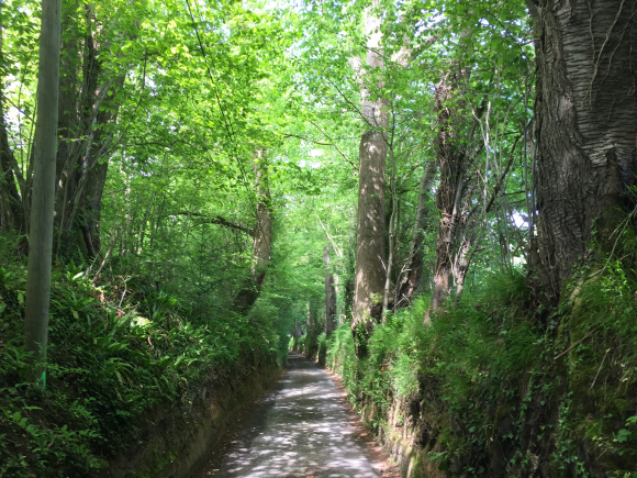 Vue de la randonnée Collines et bocage au départ de Glanville, 14
