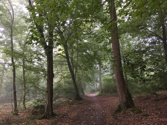 Vue de la randonnée Panorama du Catelier au départ de Oissel, 76