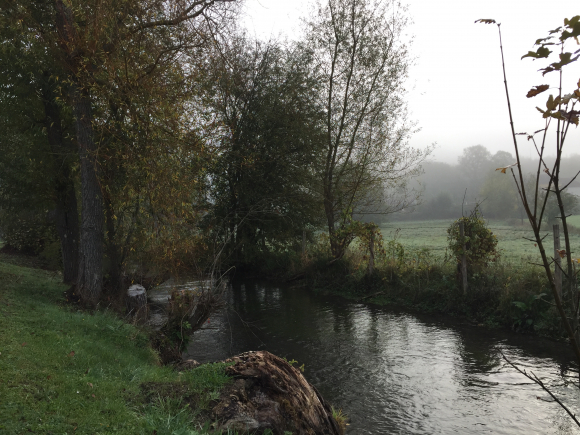 Vue de la randonnée Forêt Domaniale de Lyons au départ de Rosay-sur-Lieure, 27